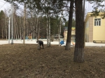 Слова благодарности