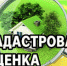 Порядок проведения государственной кадастровой оценки и оспаривание ее результатов - Город Ленск
