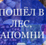Поход в лес - Город Ленск