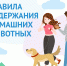 Памятка о содержании домашних животных - Город Ленск