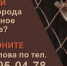 Совещание по собакам - Город Ленск