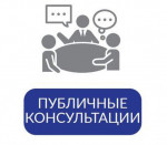 Публичные консультации