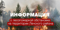 О лесопожарной обстановке в Ленском районе на 30 июня - Город Ленск