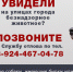 Отлов собак - Город Ленск
